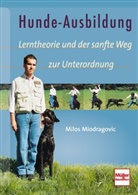 Milos Miodragovic - Hunde-Ausbildung