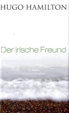 Hugo Hamilton - Der irische Freund