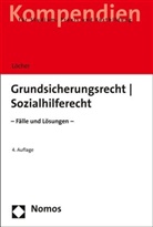 Albrecht Brühl, Jens Löcher, Dietrich Schoch, Clarita Schwengers, Dirk Waschull - Grundsicherungsrecht - Sozialhilferecht
