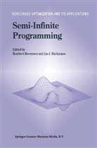 Rember Reemtsen, Rembert Reemtsen, Rückmann, Rückmann, Jan-J. Rückmann - Semi-Infinite Programming