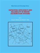 Enriqu Cabrera, Enrique Cabrera, F Vela, F Vela, Antonio F. Vela - Improving Efficiency and Reliability in Water Distribution Systems