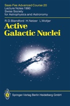 R Blandford, R D Blandford, R. D. Blandford, R.D. Blandford, Netzer, H Netzer... - Active Galactic Nuclei