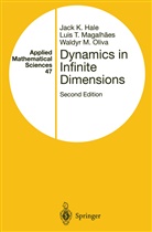 Jack Hale, Jack K Hale, Jack K. Hale, Luis Magalhaes, Luis T Magalhaes, Luis T. Magalhaes... - Dynamics in Infinite Dimensions