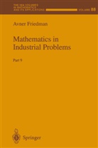 Avne Friedman, Avner Friedman - Mathematics in Industrial Problems