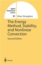 Brian Straughan - The Energy Method, Stability, and Nonlinear Convection