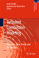 Tare Echekki, Tarek Echekki, Mastorakos, Mastorakos, Epaminondas Mastorakos - Turbulent Combustion Modeling