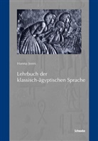 Hanna Jenni - Lehrbuch der klassisch-ägyptischen Sprache