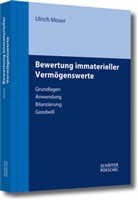 Ulrich Moser, Ulrich (Prof. Dr.) Moser - Bewertung Immaterieller Vermögenswerte
