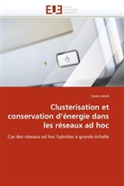 Imen Jemili, Jemili-I - Clusterisation et conservation d