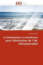 Ludiwine Clouzot, Clouzot-L - Le bioreacteur a membrane pour l
