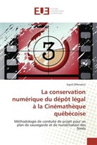 Sigrid Offenstein, Offenstein-S - La conservation numerique du