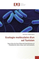 Hammami Trabelsi Darine, Darine-h - Ecologie moleculaire d un sol