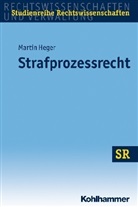 Martin Heger, Winfrie Boecken, Winfried Boecken, Korioth, Stefan Korioth, Nuria Schaub - Strafprozessrecht