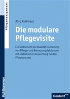 JÃ¶rg KuÃ�maul, Jörg Kußmaul - Die modulare Pflegevisite