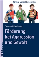 Clemens Hillenbrand, Stepha Ellinger - Förderung bei Aggression und Gewalt