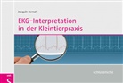 Joaquin Bernal, Joaquín Bernal - EKG-Interpretation in der Kleintierpraxis