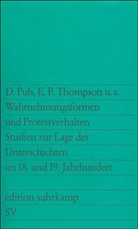 Detle Puls, Detlev Puls - Wahrnehmungsformen und Protestverhalten