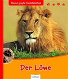 Christine Denis-Hout, Miche Denis-Hout, Michel Denis-Hout, Christin Denis-Huot, Christine Denis-Huot, Michel Denis-Huot - Meine erste Tier-Bibliothek: Der Löwe