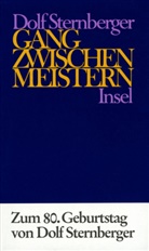 Dolf Sternberger - Schriften - 8: Gang zwischen Meistern