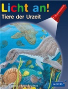 Ute Fuhr, Raoul Sautai - Licht an! - Bd.26: Tiere der Urzeit