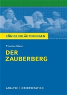 Nadine Heckner, Thomas Mann, Michael Walter - Thomas Mann 'Der Zauberberg'