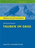 Wolfgang Koeppen - Interpretation zu Wolfgang Koeppen 'Tauben im Gras'
