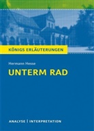 Maria-Felicitas Herforth, Hermann Hesse - Hermann Hesse 'Unterm Rad'