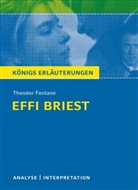Thomas Brand, Theodor Fontane - Theodor Fontane 'Effi Briest'