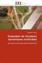 Evangeline Pollard, Pollard-E - Evaluation de situations