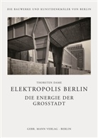 Thorsten Dame, Landesdenkmalamt Berlin - Elektropolis Berlin