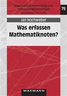 Jan Hochweber - Was erfassen Mathematiknoten?