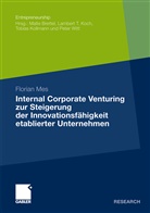 Florian Mes - Internal Corporate Venturing zur Steigerung der Innovationsfähigkeit etablierter Unternehmen