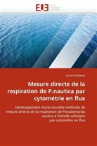 Lounis Mebarek, Mebarek-L - Mesure directe de la respiration