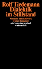 Rolf Tiedemann - Dialektik im Stillstand