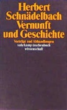 Herbert Schnädelbach - Vernunft und Geschichte