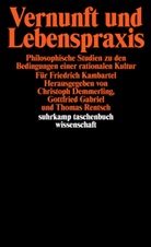 Christop Demmerling, Christoph Demmerling, Gottfried Gabriel, Thomas Rentsch - Vernunft und Lebenspraxis