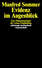 Manfred Sommer - Evidenz im Augenblick