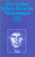 Jörg Steiner - Schnee bis in die Niederungen