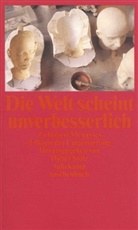 Robert Menasses, Diete Stolz, Dieter Stolz - Die Welt scheint unverbesserlich