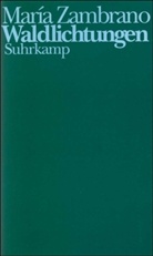 Maria Zambrano, María Zambrano - Waldlichtungen