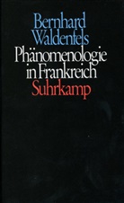 Bernhard Waldenfels - Phänomenologie in Frankreich