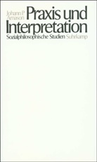 Johann P Arnason, Johann P. Arnason - Praxis und Interpretation