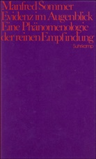 Manfred Sommer - Evidenz im Augenblick