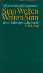 Wilhelm Schmidt-Biggemann - Sinn-Welten, Welten-Sinn