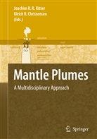 U. R. Christensen, U.R. Christensen, R Christensen, R Christensen, Joachi R R Ritter, Joachim R R Ritter... - Mantle Plumes