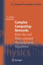 Izze Cem Göknar, Izzet Cem Göknar, Izzet Cem Göknar, Sevgi, Sevgi, Levent Sevgi - Complex Computing-Networks