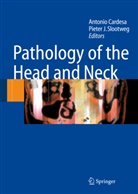 Antoni Cardesa, Antonio Cardesa, Slootweg, Slootweg, Pieter Slootweg, Pieter J. Slootweg - Pathology of the Head and Neck