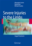 Alexande Lerner, Alexander Lerner, Danie Reis, Daniel Reis, Michael Soudry - Severe Injuries to the Limbs