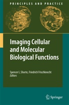 Frischknecht, Frischknecht, Friedrich Frischknecht, Spence L Shorte, Spencer L Shorte, Spencer L. Shorte - Imaging Cellular and Molecular Biological Functions
