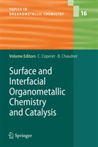 Chaudret, Chaudret, Bruno Chaudret, Copéret, C Copéret, C. Copéret... - Surface and Interfacial Organometallic Chemistry and Catalysis